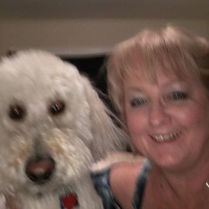 Meet your Posher, Cindy